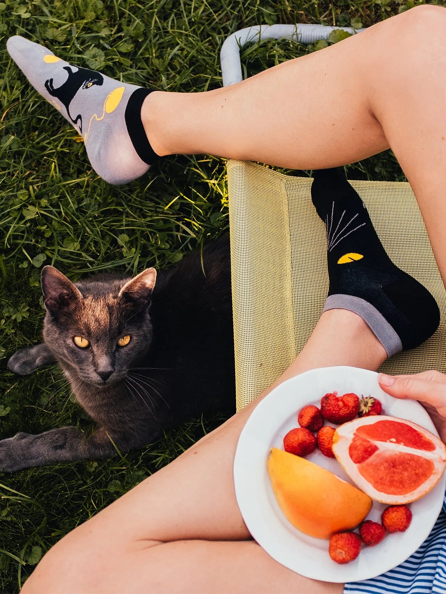 None-03/032255ae4e530261049fc79204a3d1ec0119a1dd