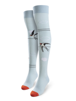 None-17/172543badfb0aee949e2e468cedd3589faaf40be