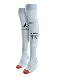 None-17/172543badfb0aee949e2e468cedd3589faaf40be