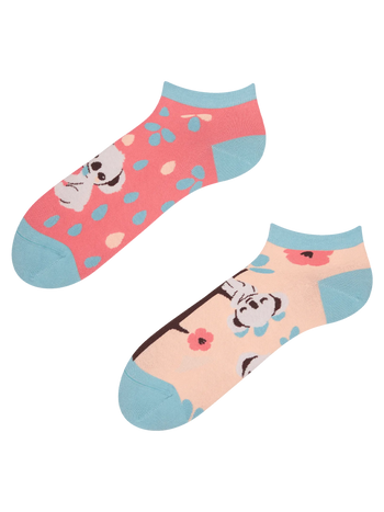 Vidám bokazokni Álmos koala