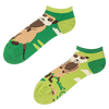 Vidám bokazokni Szurikáták