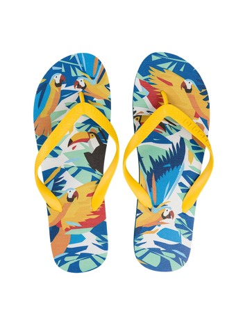 Vidám flip-flop Trópusi madarak