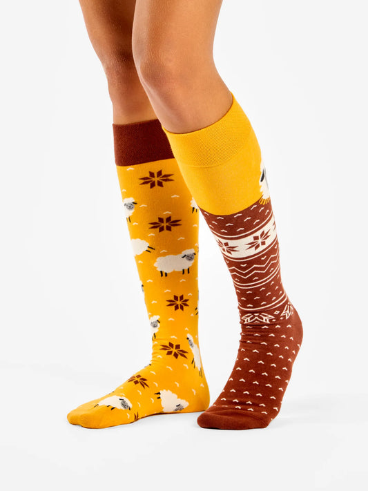 None-63/63722a41a67be701f2eaf3fd1b7ef9b569223277