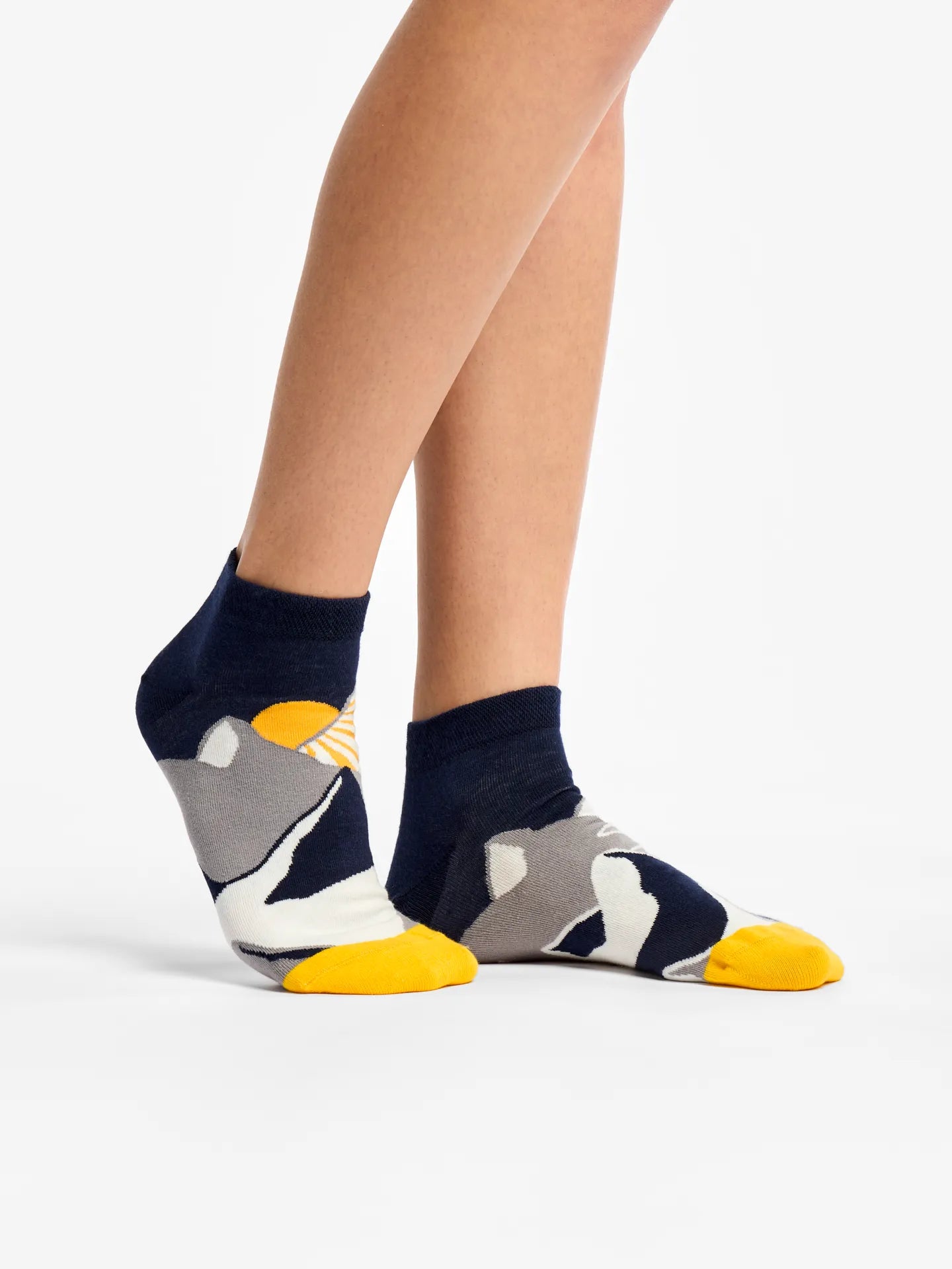 None-97/972efa2fec104bbfd12b8fea8124a773a58eaf7a