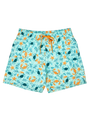 None-99/995129938f34ff0d262720a370c7ee5ffec61705