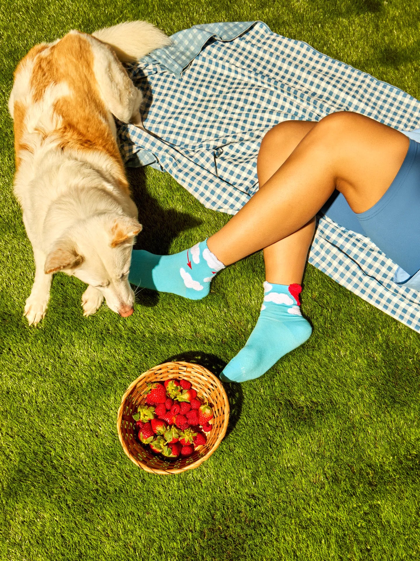 None-b0/b0766d88e124bbeec5111e95aca7c819e2e746b7