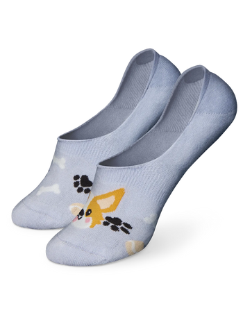 Vidám titokzokni Corgi kutya