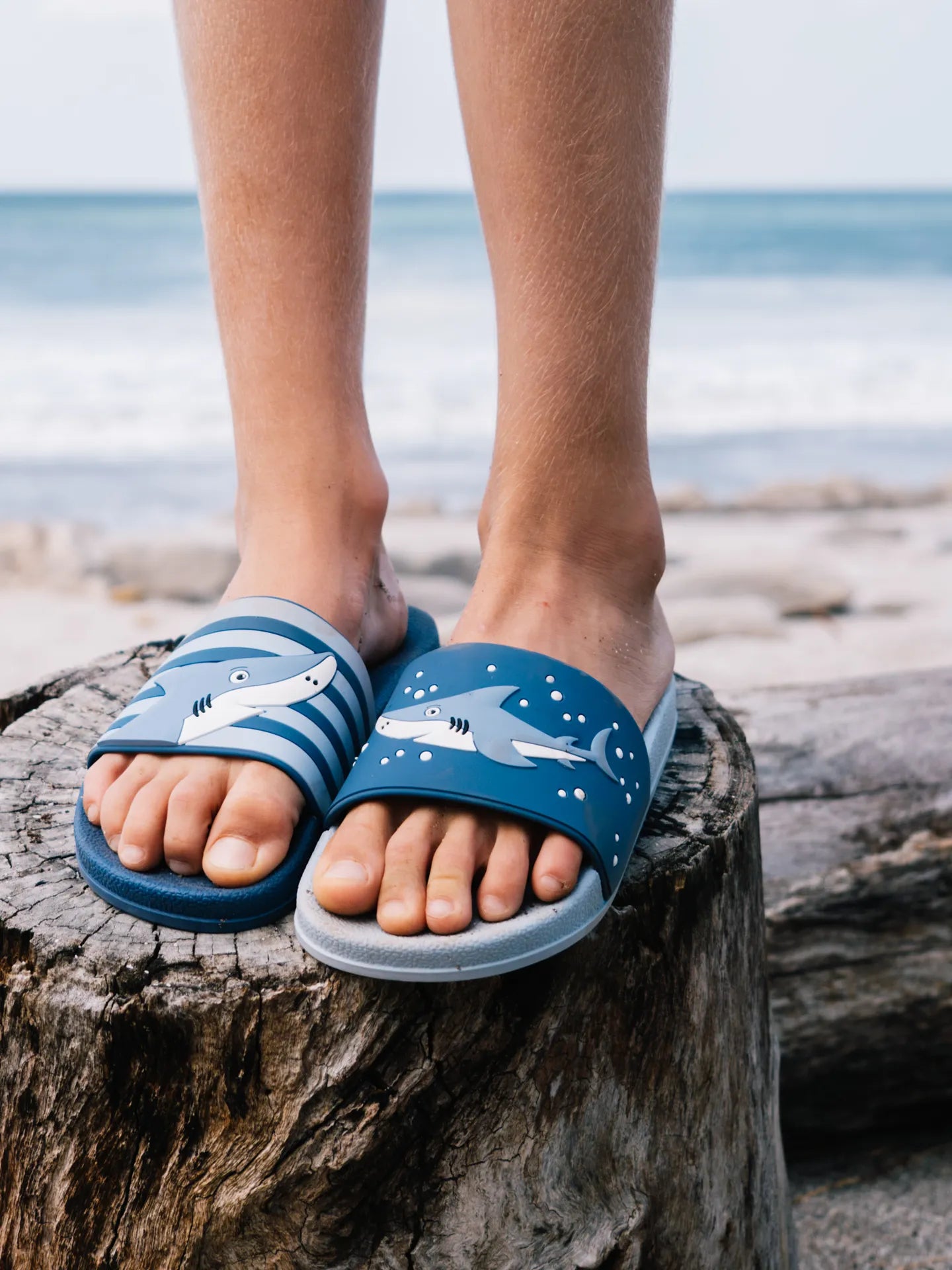 None-fc/fce88b25bbb17f16f2af782e4109335086e6fd90